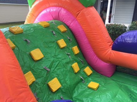 Backyard Obstacle - Image 4