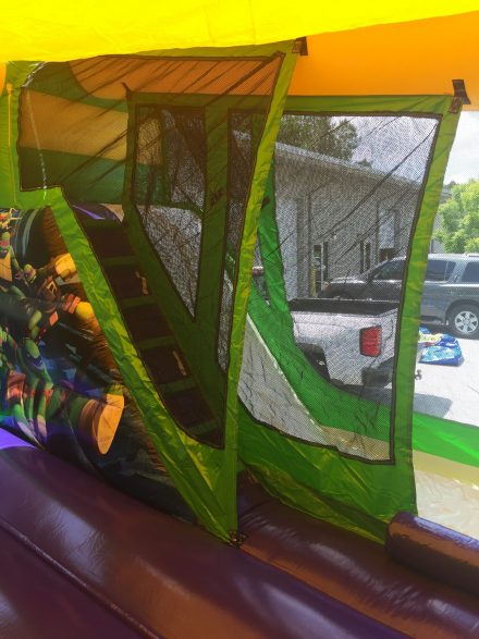 Ninja Turtle Combo - Image 4